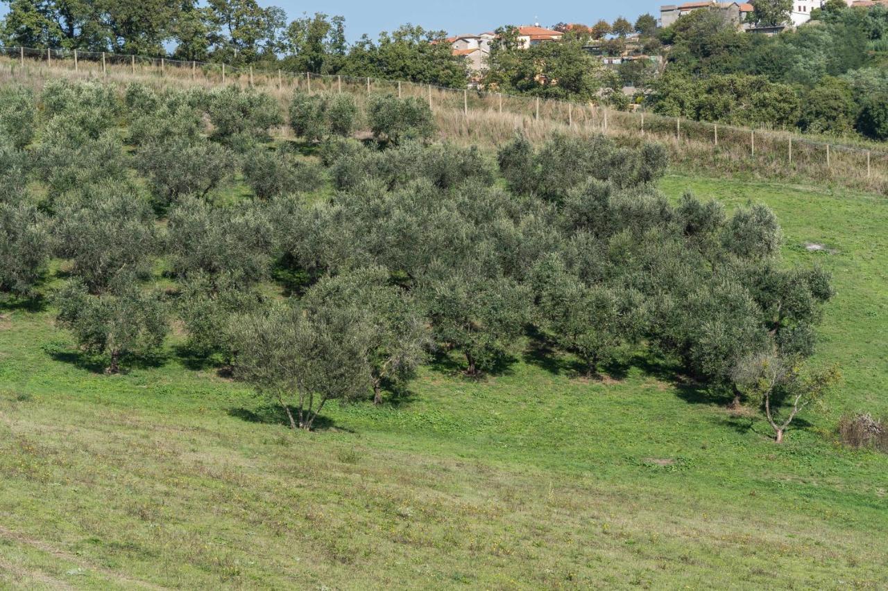 Agriturismo Bella Cima Montefiascone Exterior photo